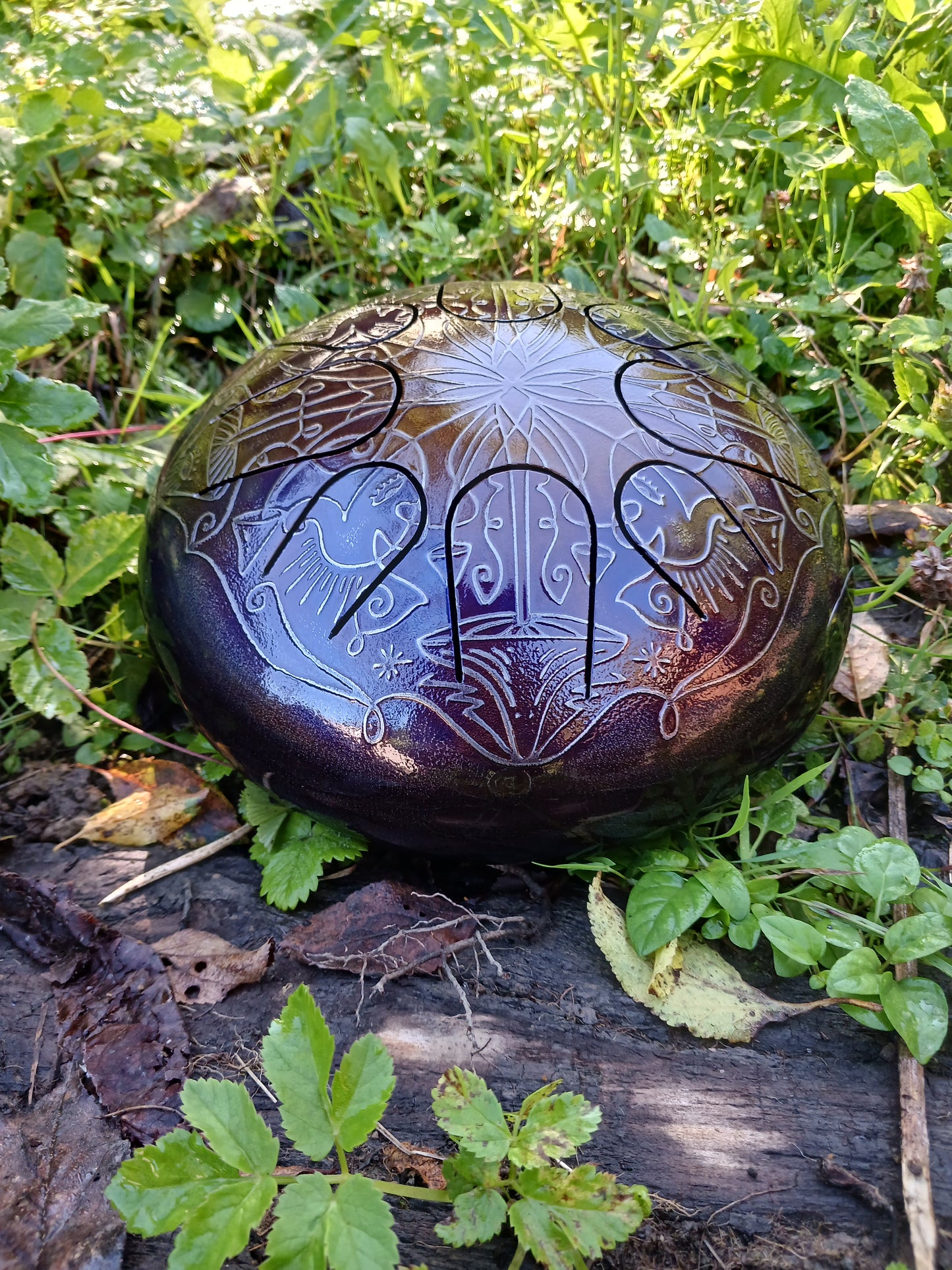 Mystic mushroom